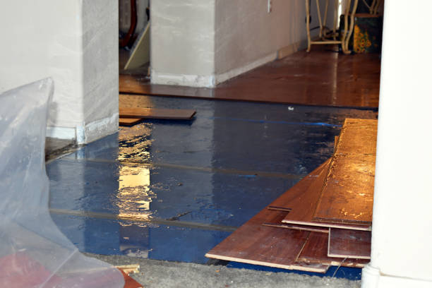 Professional Water Damage Restoration technician working in Deal, NJ